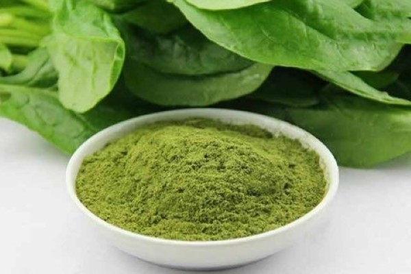 تصویر 1 از خرید و قیمت اسفناج خشک شده + فروش صادراتی